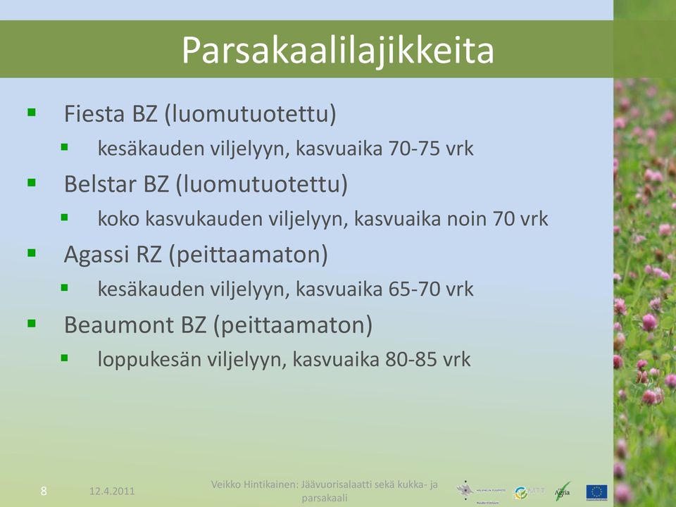 kasvuaika noin 70 vrk Agassi RZ (peittaamaton) kesäkauden viljelyyn,