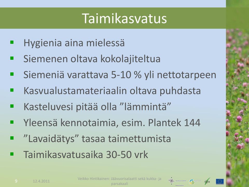 oltava puhdasta Kasteluvesi pitää olla lämmintä Yleensä kennotaimia,