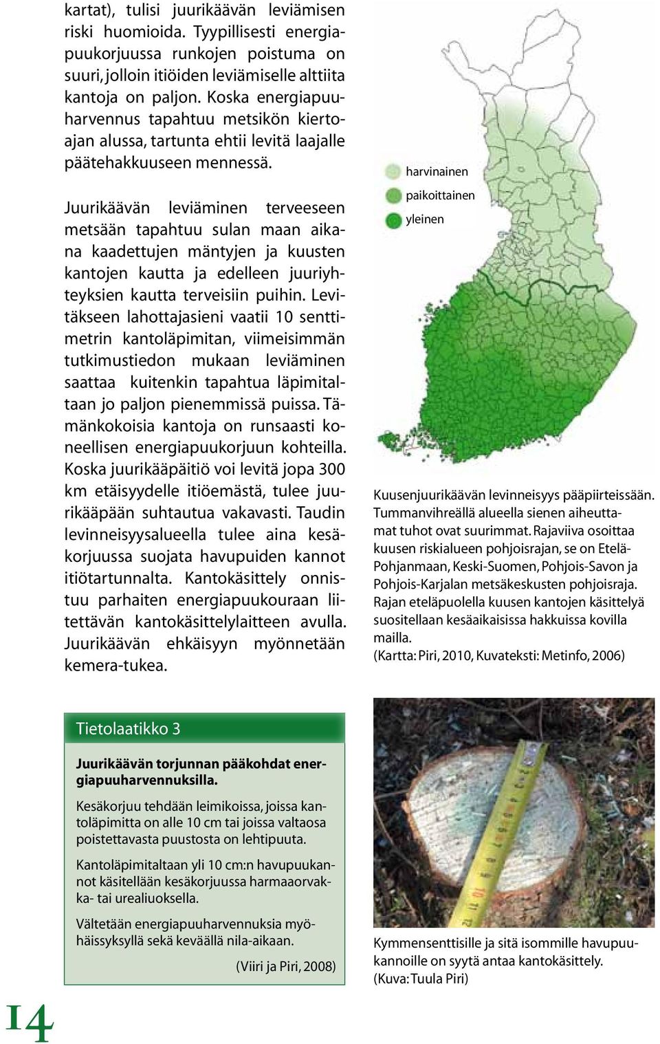 Juurikäävän leviäminen terveeseen metsään tapahtuu sulan maan aikana kaadettujen mäntyjen ja kuusten kantojen kautta ja edelleen juuriyhteyksien kautta terveisiin puihin.