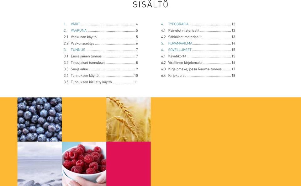 Typografia... 12 4.1 Painetut materiaalit... 12 4.2 Sähköiset materiaalit... 13 5. Kuvamaailma... 14 6. Sovellukset... 15 6.