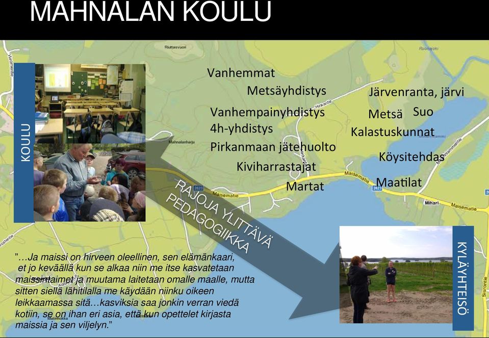 me itse kasvatetaan maissintaimet ja muutama laitetaan omalle maalle, mutta sitten siellä lähitilalla me käydään niinku oikeen