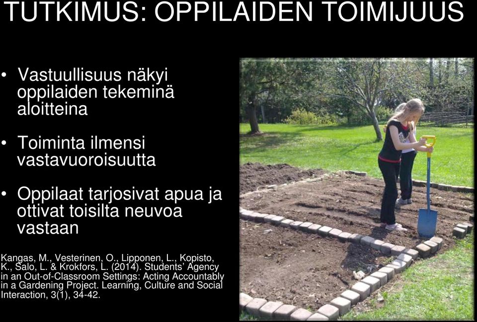 , Vesterinen, O., Lipponen, L., Kopisto, K., Salo, L. & Krokfors, L. (2014).