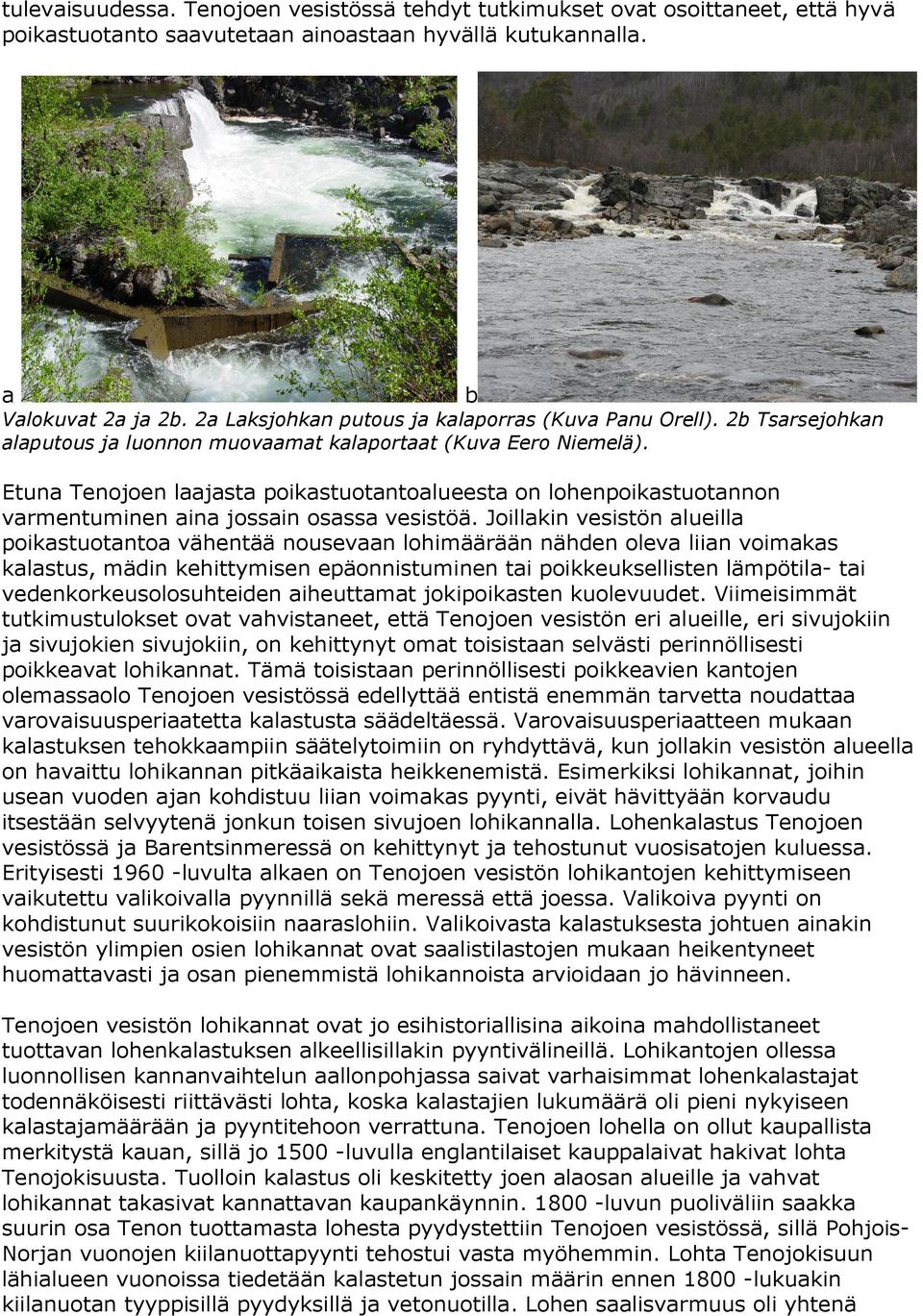 Etuna Tenojoen laajasta poikastuotantoalueesta on lohenpoikastuotannon varmentuminen aina jossain osassa vesistöä.