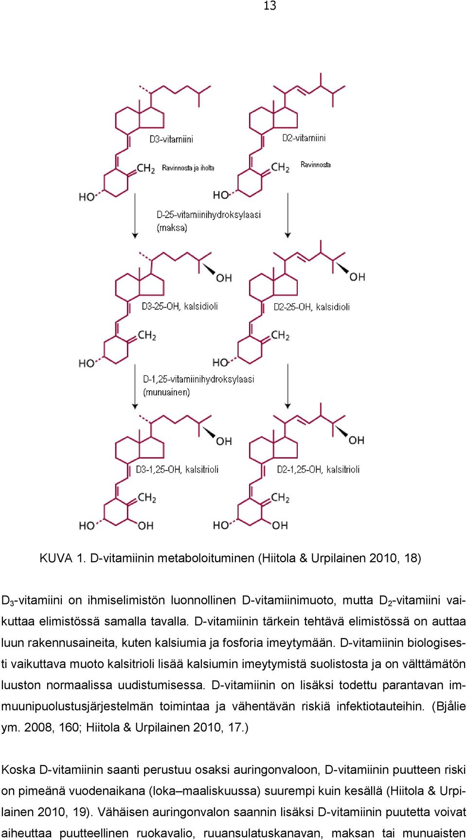 D-vitamiinin biologisesti vaikuttava muoto kalsitrioli lisää kalsiumin imeytymistä suolistosta ja on välttämätön luuston normaalissa uudistumisessa.