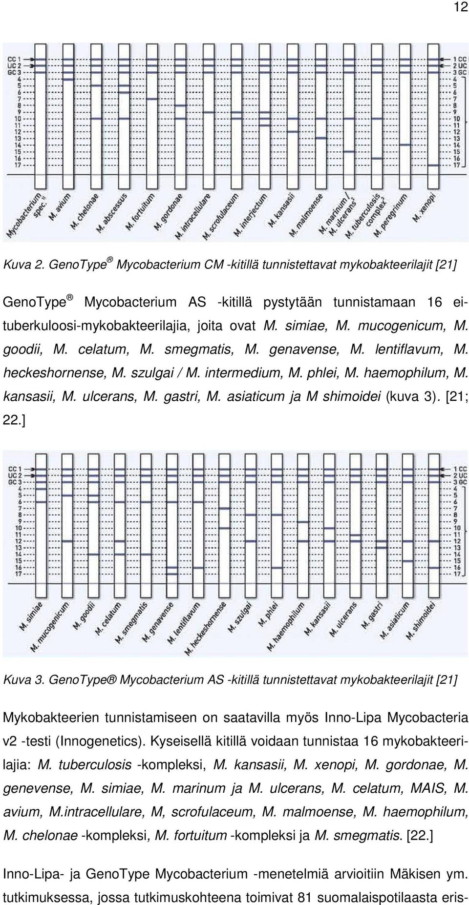 gastri, M. asiaticum ja M shimoidei (kuva 3). [21; 22.] Kuva 3.