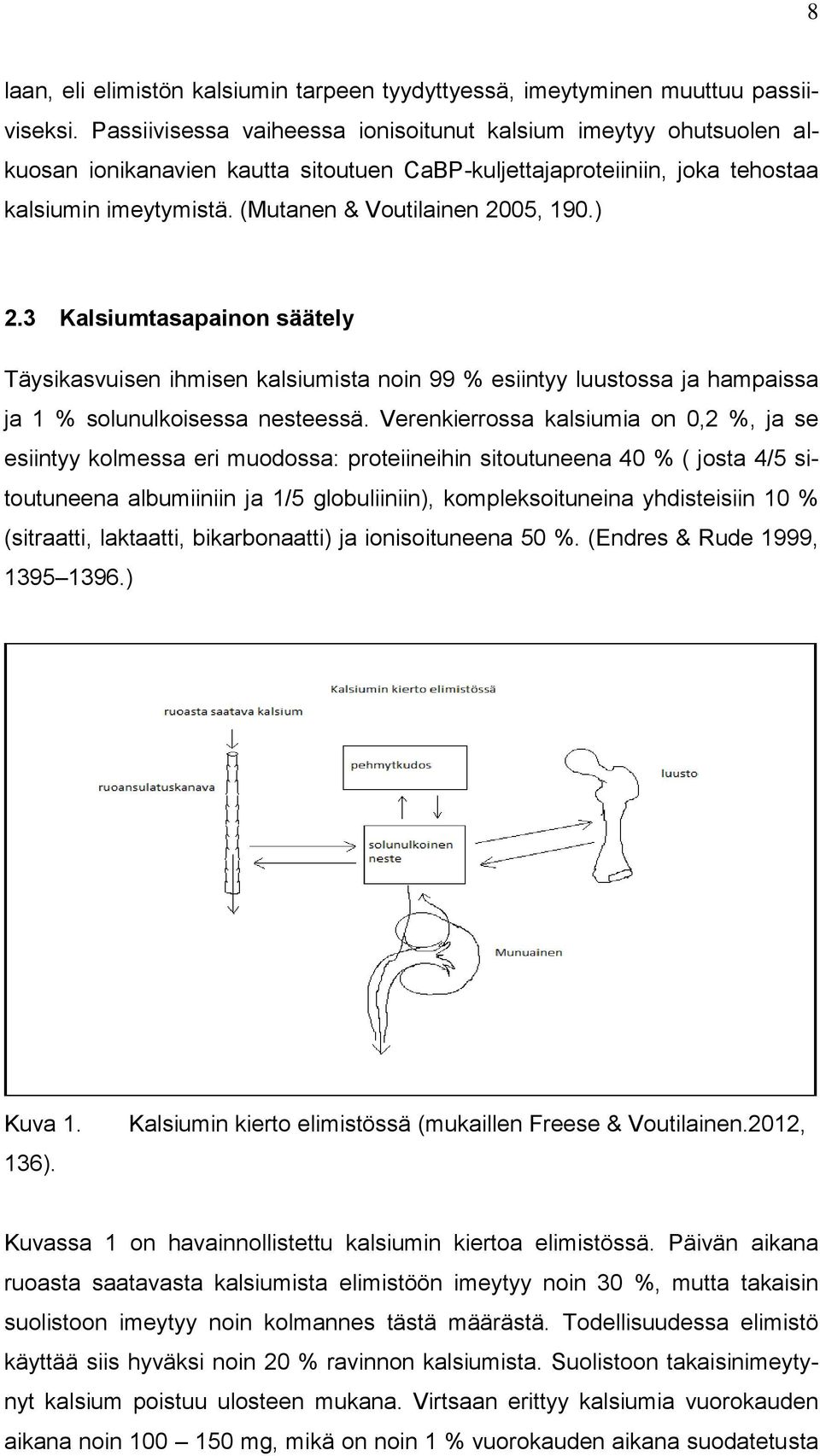 (Mutanen & Voutilainen 2005, 190.) 2.3 Kalsiumtasapainon säätely Täysikasvuisen ihmisen kalsiumista noin 99 % esiintyy luustossa ja hampaissa ja 1 % solunulkoisessa nesteessä.