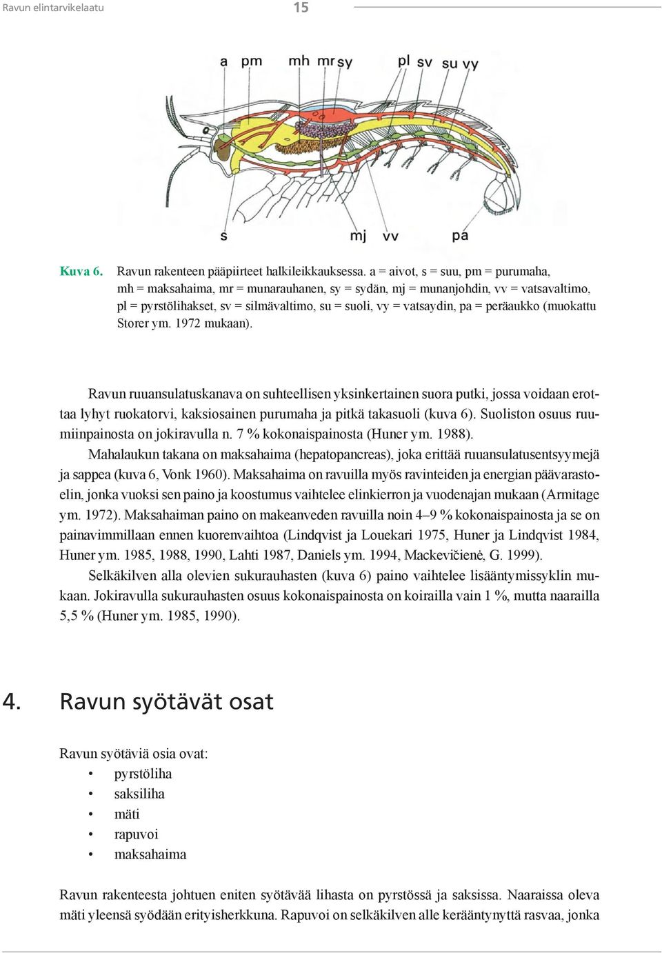 peräaukko (muokattu Storer ym. 1972 mukaan).