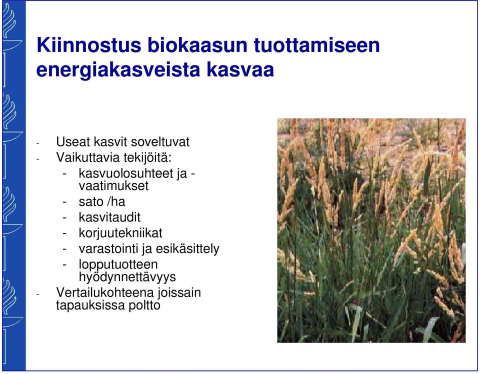 sato /ha - kasvitaudit - korjuutekniikat - varastointi ja esikäsittely -