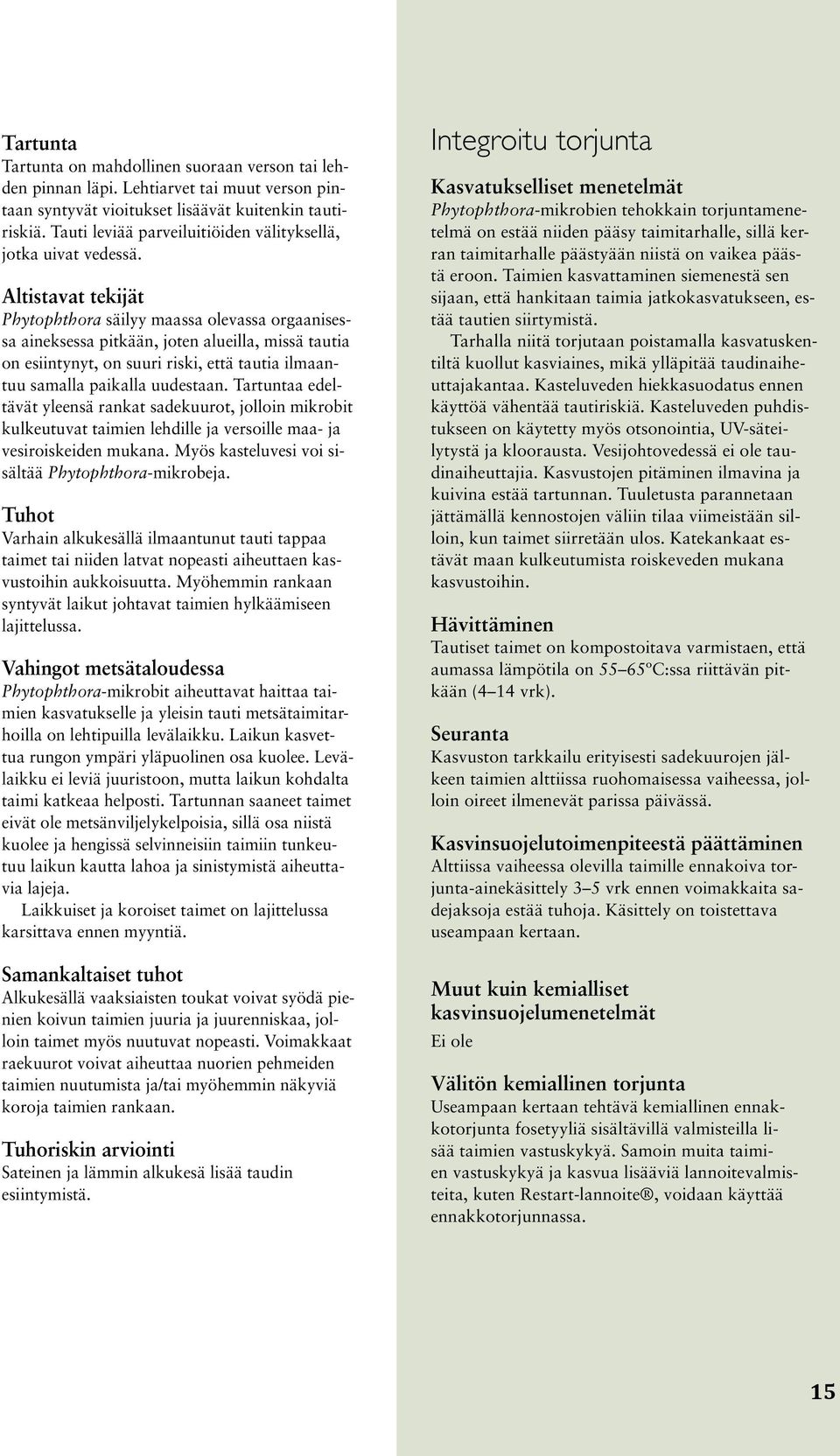 Altistavat tekijät Phytophthora säilyy maassa olevassa orgaanisessa aineksessa pitkään, joten alueilla, missä tautia on esiintynyt, on suuri riski, että tautia ilmaantuu samalla paikalla uudestaan.