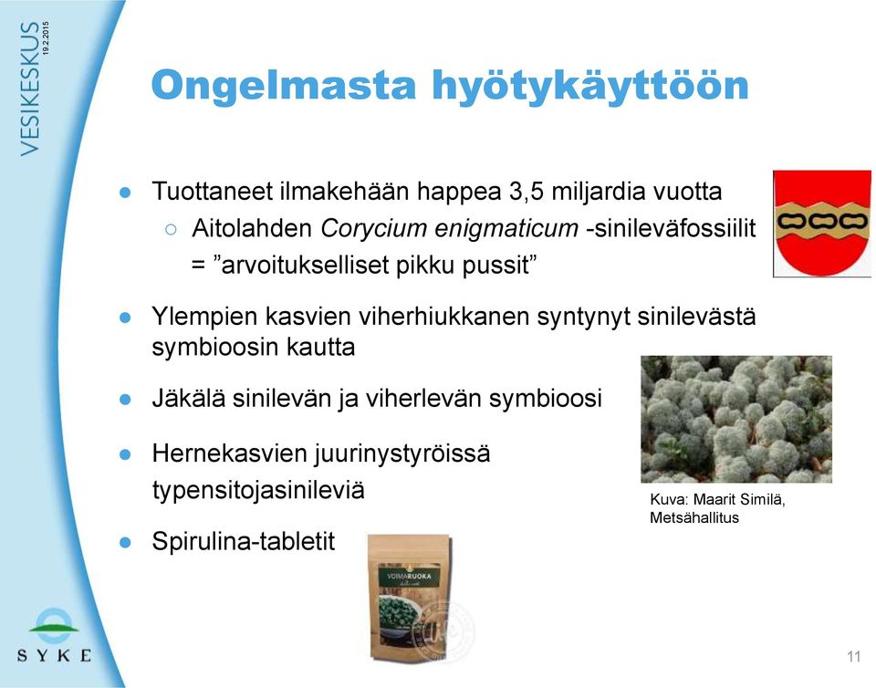 syntynyt sinilevästä symbioosin kautta Jäkälä sinilevän ja viherlevän symbioosi Hernekasvien