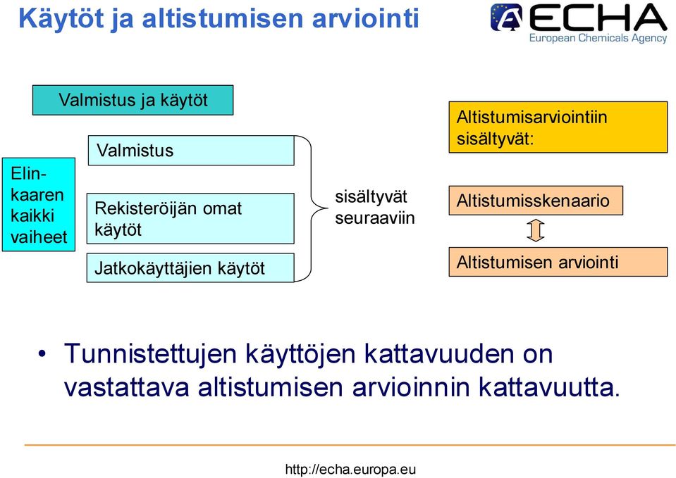 Altistumisarviointiin sisältyvät: Altistumisskenaario Altistumisen arviointi