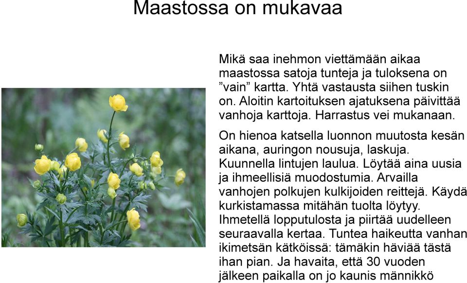 Kuunnella lintujen laulua. Löytää aina uusia ja ihmeellisiä muodostumia. Arvailla vanhojen polkujen kulkijoiden reittejä. Käydä kurkistamassa mitähän tuolta löytyy.