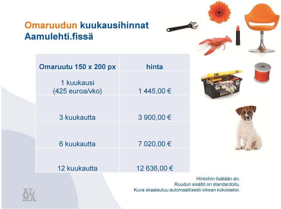 445,00 3 kuukautta 3 900,00 6 kuukautta 7 020,00 12 kuukautta 12