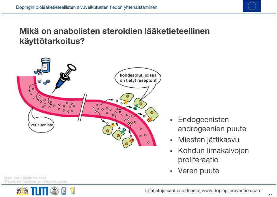 Biochemie, 2004 Spektrum Akademischer Verlag, Heidelberg Endogeenisten