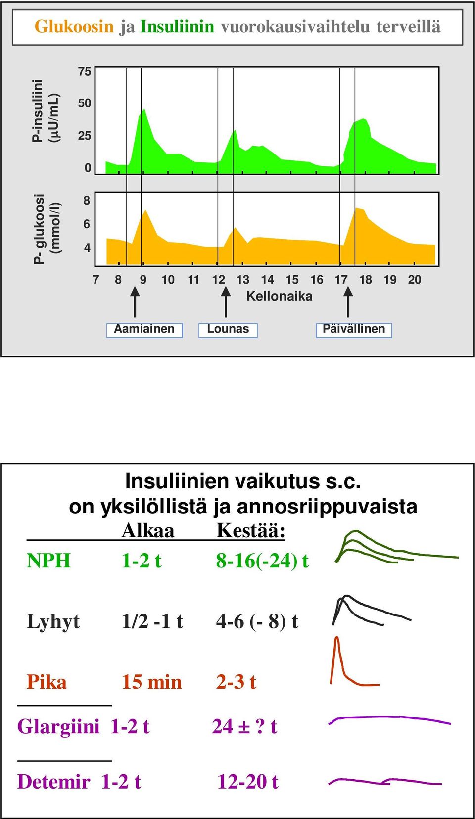 Päivällinen Insuliinien vaikutus s.c.