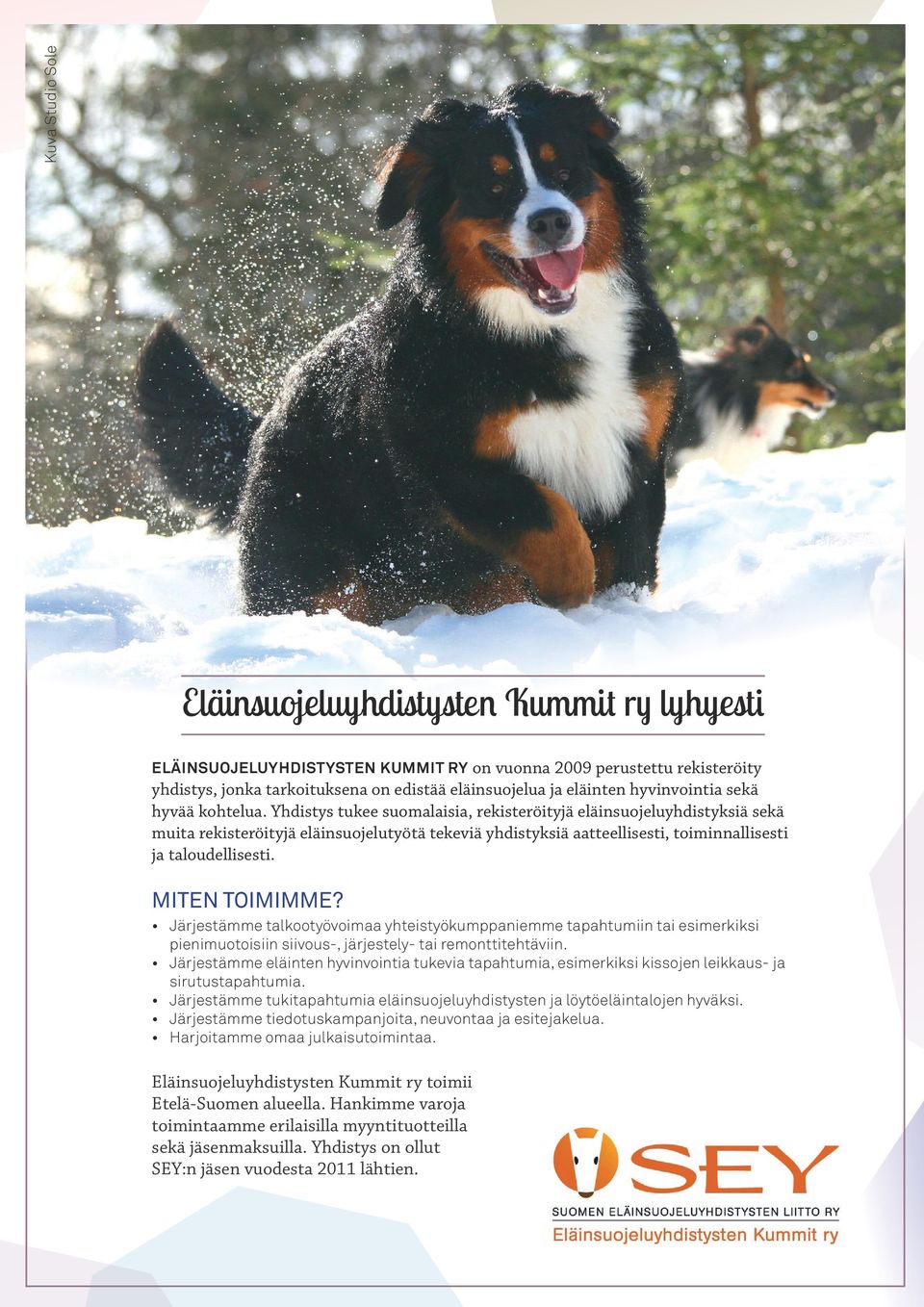 Yhdistys tukee suomalaisia, rekisteröityjä eläinsuojeluyhdistyksiä sekä muita rekisteröityjä eläinsuojelutyötä tekeviä yhdistyksiä aatteellisesti, toiminnallisesti ja taloudellisesti. MITEN TOIMIMME?