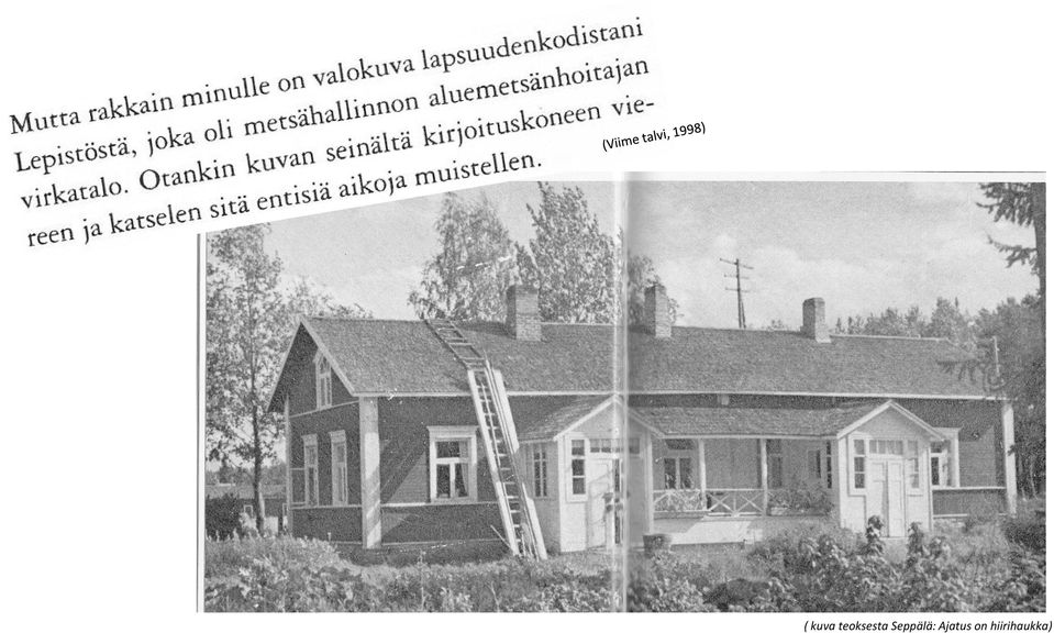 Seppälä: