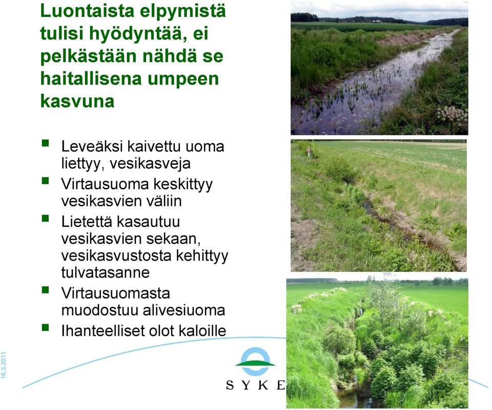 keskittyy vesikasvien väliin Lietettä kasautuu vesikasvien sekaan,