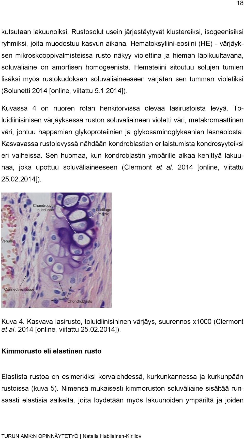 Hemateiini sitoutuu solujen tumien lisäksi myös rustokudoksen soluväliaineeseen värjäten sen tumman violetiksi (Solunetti 2014 [online, viitattu 5.1.2014]).