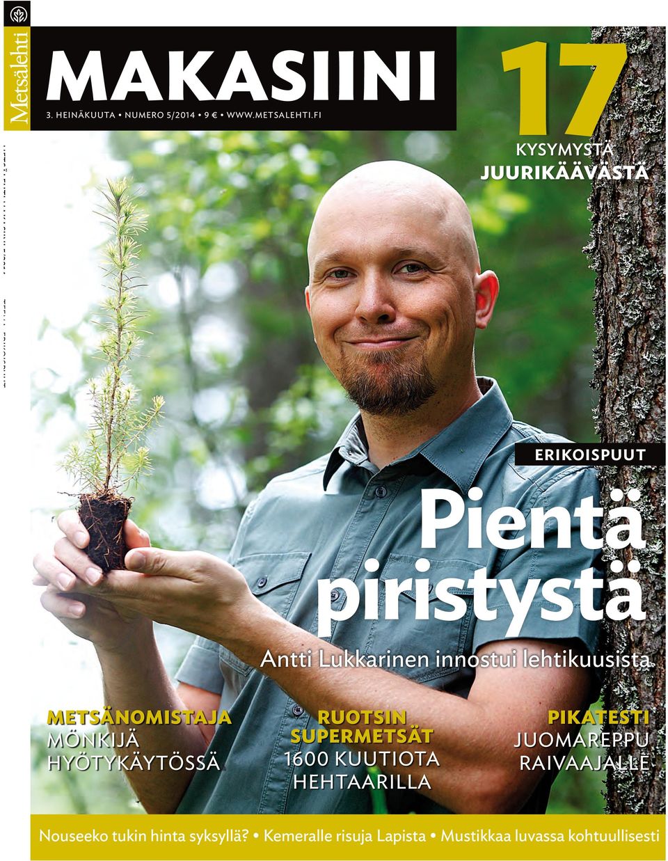 Antti Lukkarinen innostui lehtikuusista Metsänomistaja Mönkijä hyötykäytössää Ruotsin supermetsät 1600
