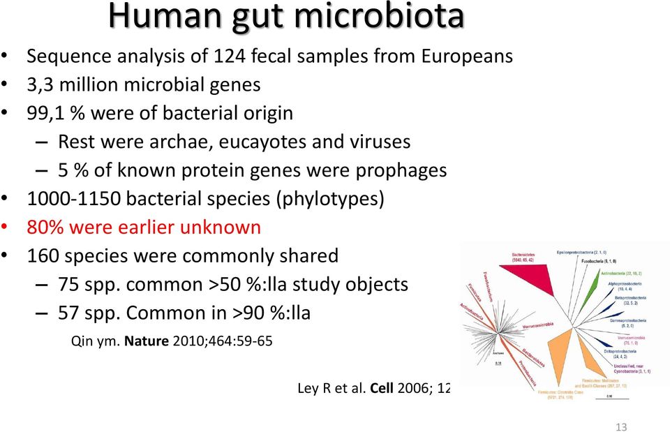 1000-1150 bacterial species (phylotypes) 80% were earlier unknown 160 species were commonly shared 75 spp.