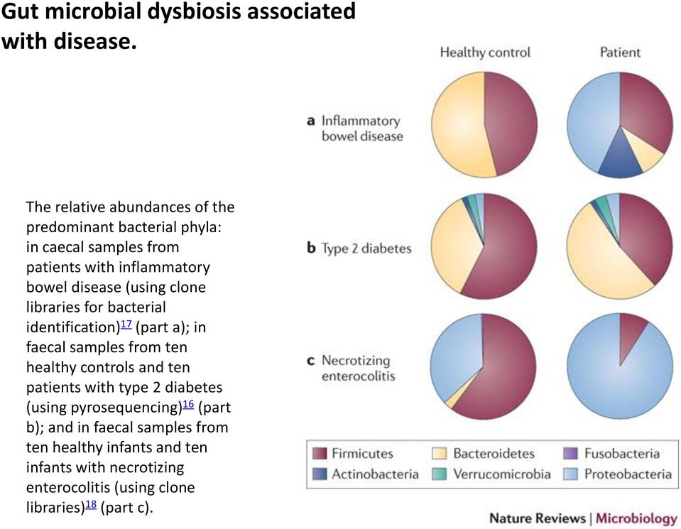 disease (using clone libraries for bacterial identification) 17 (part a); in faecal samples from ten healthy controls and