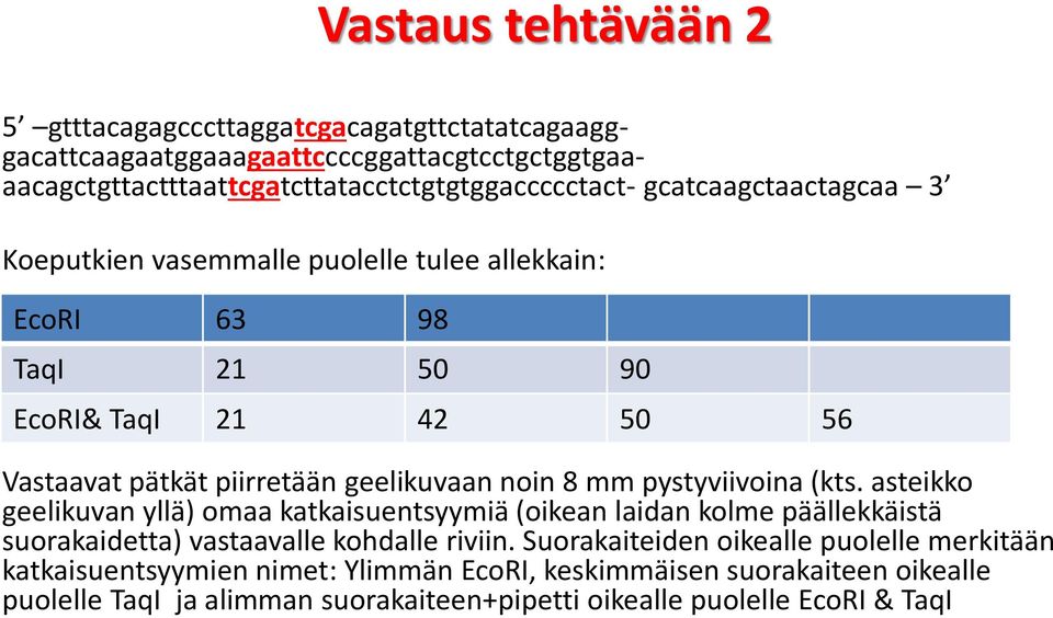 pystyviivoina (kts. asteikko geelikuvan yllä) omaa katkaisuentsyymiä (oikean laidan kolme päällekkäistä suorakaidetta) vastaavalle kohdalle riviin.