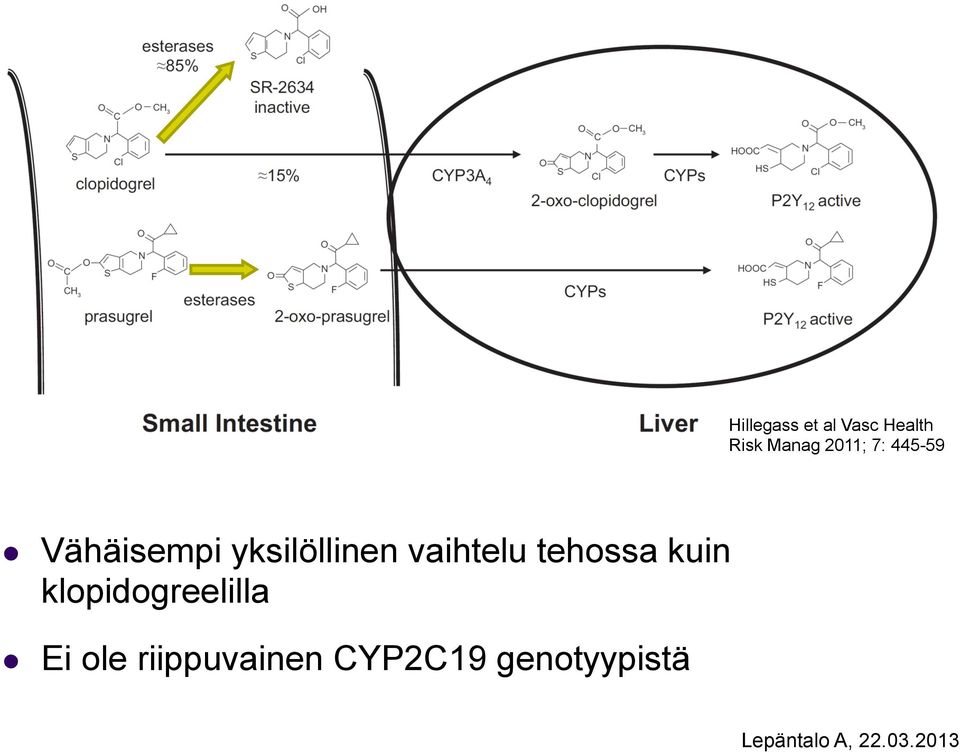 yksilöllinen vaihtelu tehossa kuin