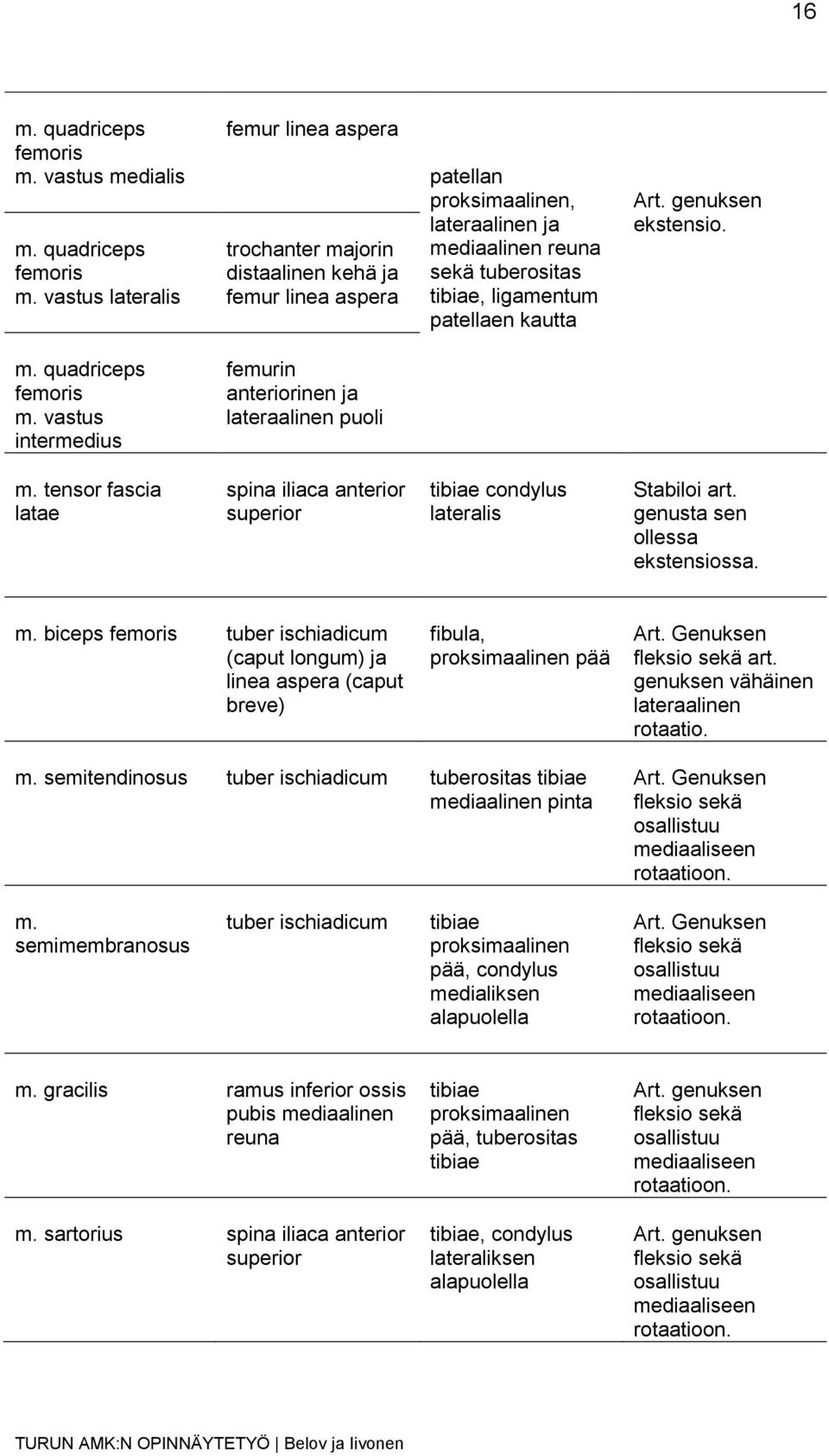 vastus lateralis femur linea aspera trochanter majorin distaalinen kehä ja femur linea aspera patellan proksimaalinen, lateraalinen ja mediaalinen reuna sekä tuberositas tibiae, ligamentum patellaen