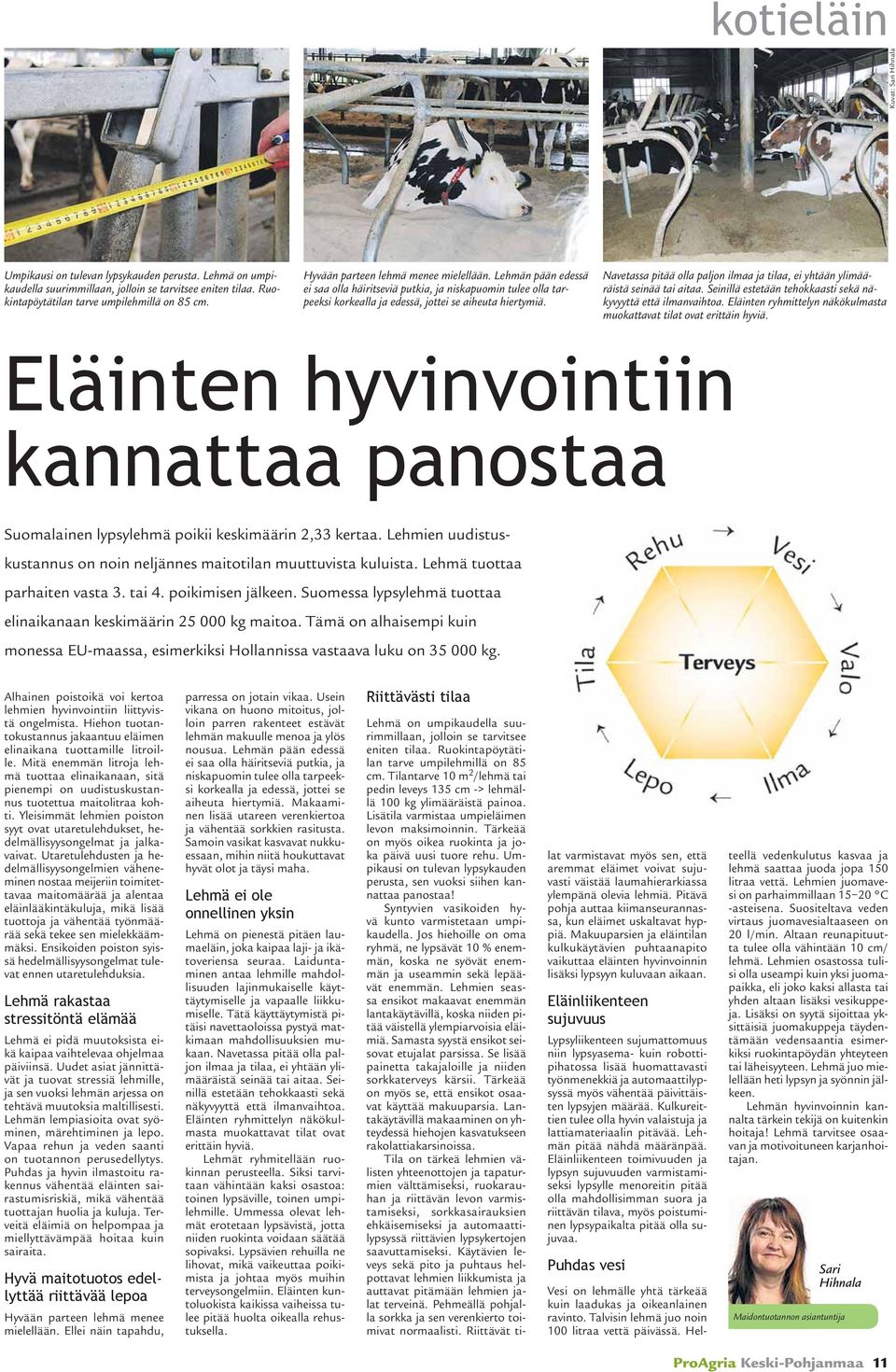 Navetassa pitää olla paljon ilmaa ja tilaa, ei yhtään ylimääräistä seinää tai aitaa. Seinillä estetään tehokkaasti sekä näkyvyyttä että ilmanvaihtoa.