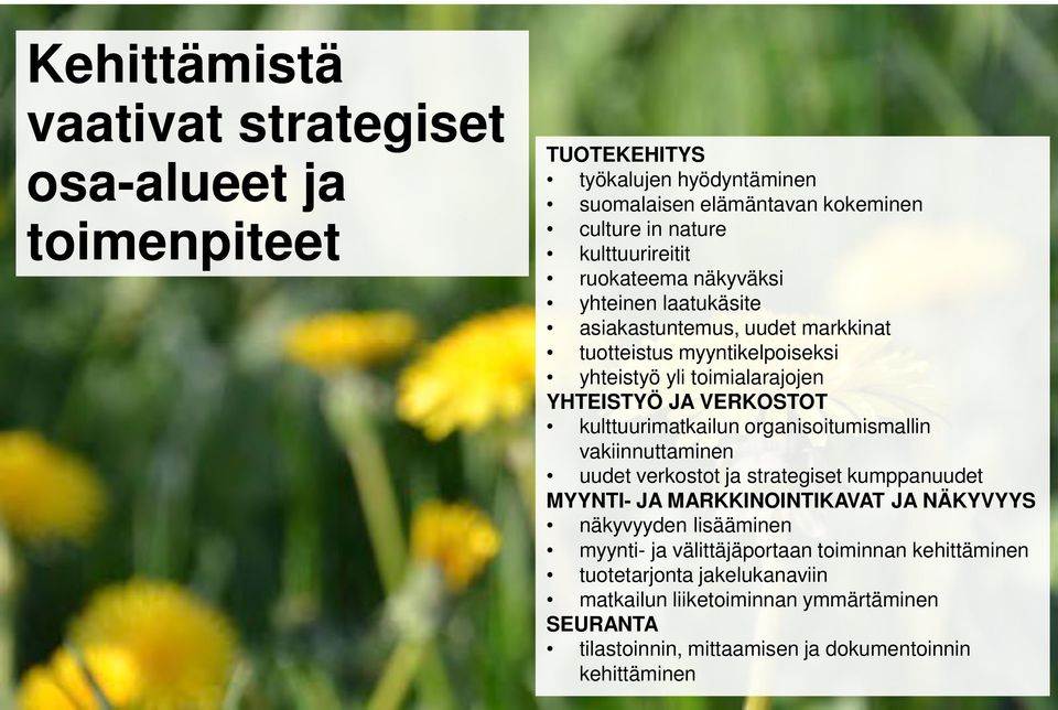 kulttuurimatkailun organisoitumismallin vakiinnuttaminen uudet verkostot ja strategiset kumppanuudet MYYNTI- JA MARKKINOINTIKAVAT JA NÄKYVYYS näkyvyyden lisääminen