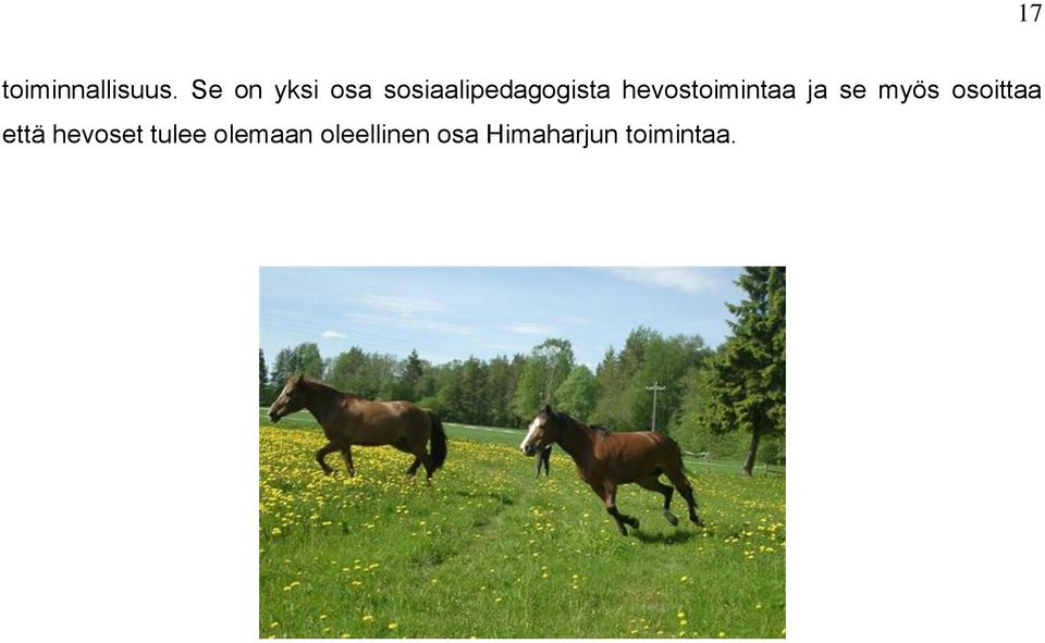 hevostoimintaa ja se myös osoittaa