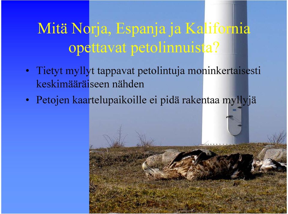 Tietyt myllyt tappavat petolintuja