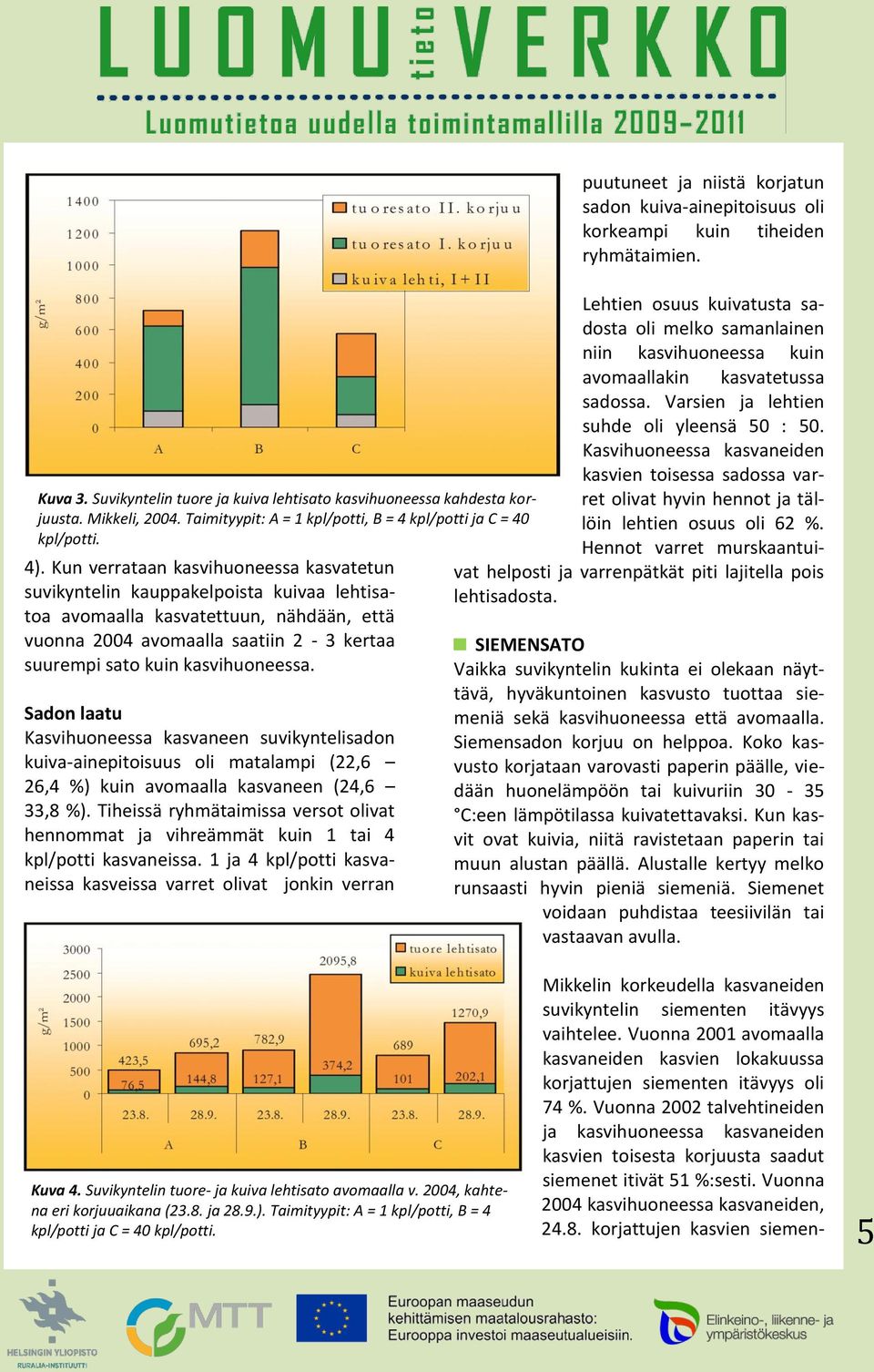 Sadon laatu Kasvihuoneessa kasvaneen suvikyntelisadon kuiva-ainepitoisuus oli matalampi (22,6 26,4 %) kuin avomaalla kasvaneen (24,6 33,8 %).