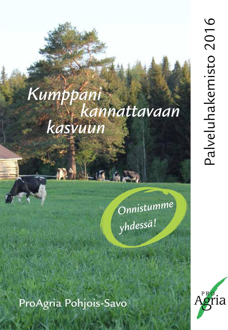 Palveluhakemisto 2016