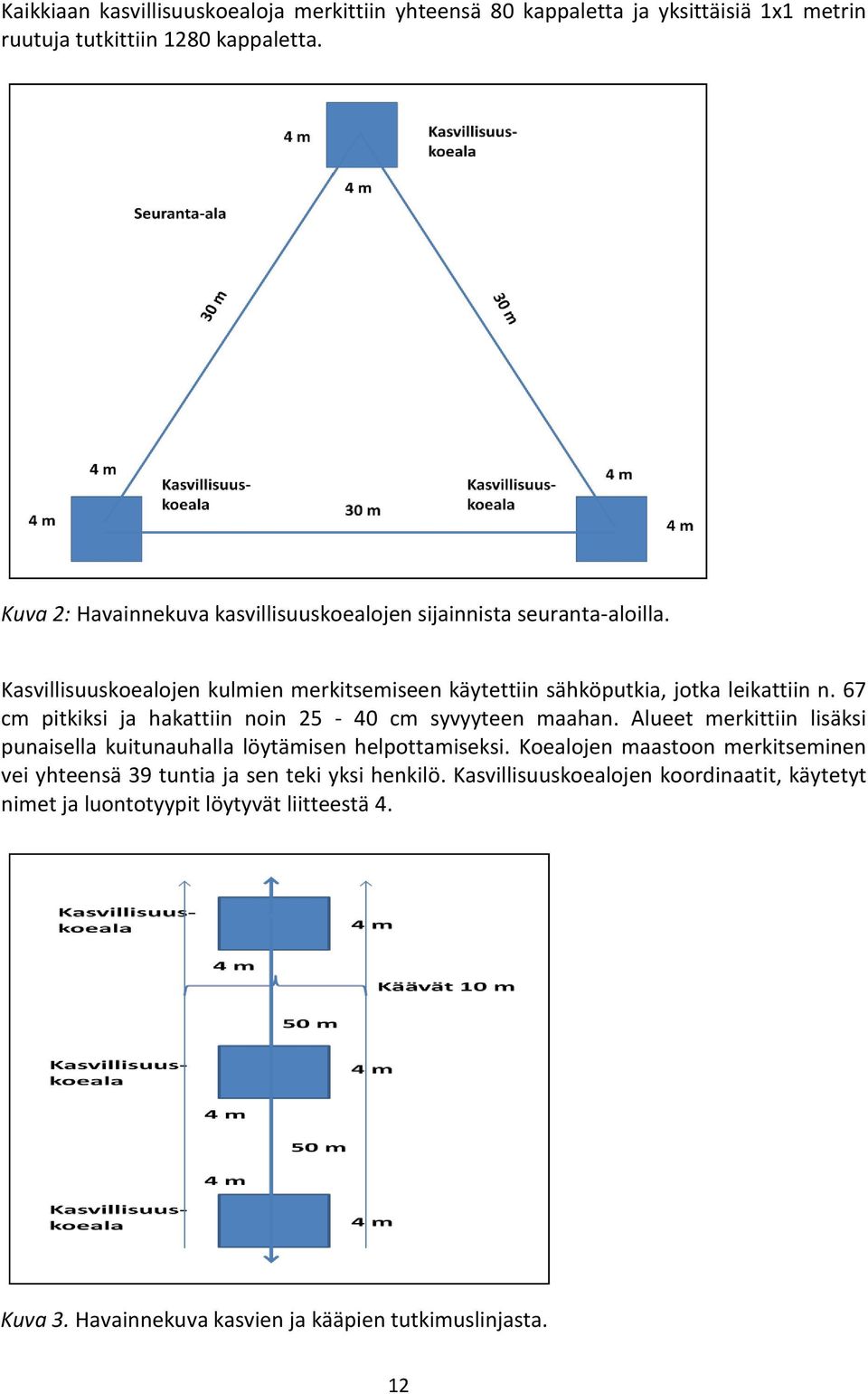 67 cm pitkiksi ja hakattiin noin 25-40 cm syvyyteen maahan. Alueet merkittiin lisäksi punaisella kuitunauhalla löytämisen helpottamiseksi.