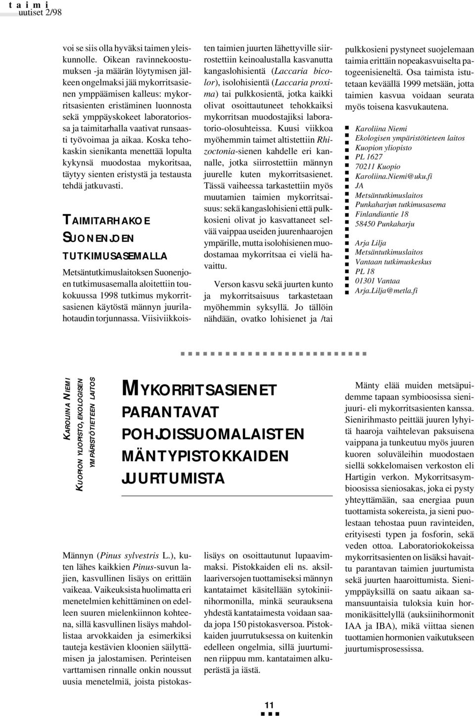 taimitarhalla vaativat runsaasti työvoimaa ja aikaa. Koska tehokaskin sienikanta menettää lopulta kykynsä muodostaa mykoritsaa, täytyy sienten eristystä ja testausta tehdä jatkuvasti.