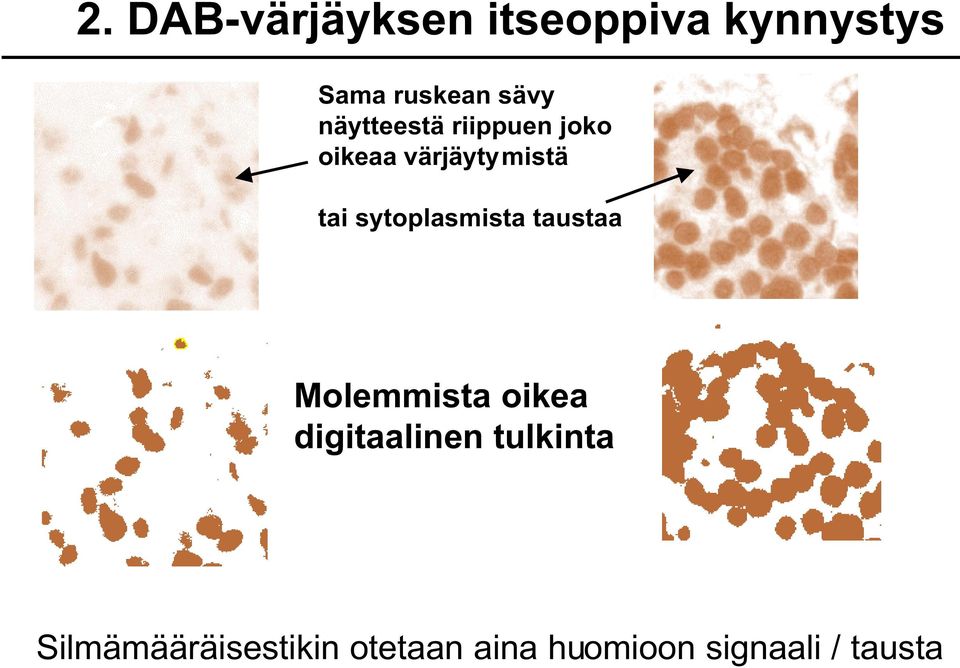 sytoplasmista taustaa Molemmista oikea digitaalinen