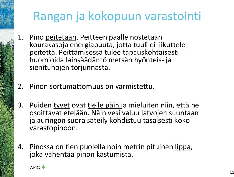 Pinon sortumattomuus on varmistettu. 3. Puiden tyvet ovat tielle päin ja mieluiten niin, että ne osoittavat etelään.