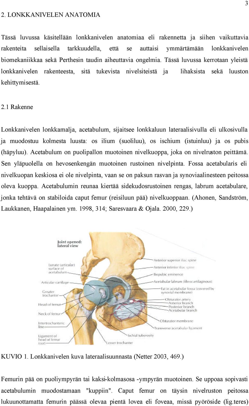 1 Rakenne Lonkkanivelen lonkkamalja, acetabulum, sijaitsee lonkkaluun lateraalisivulla eli ulkosivulla ja muodostuu kolmesta luusta: os ilium (suoliluu), os ischium (istuinluu) ja os pubis (häpyluu).