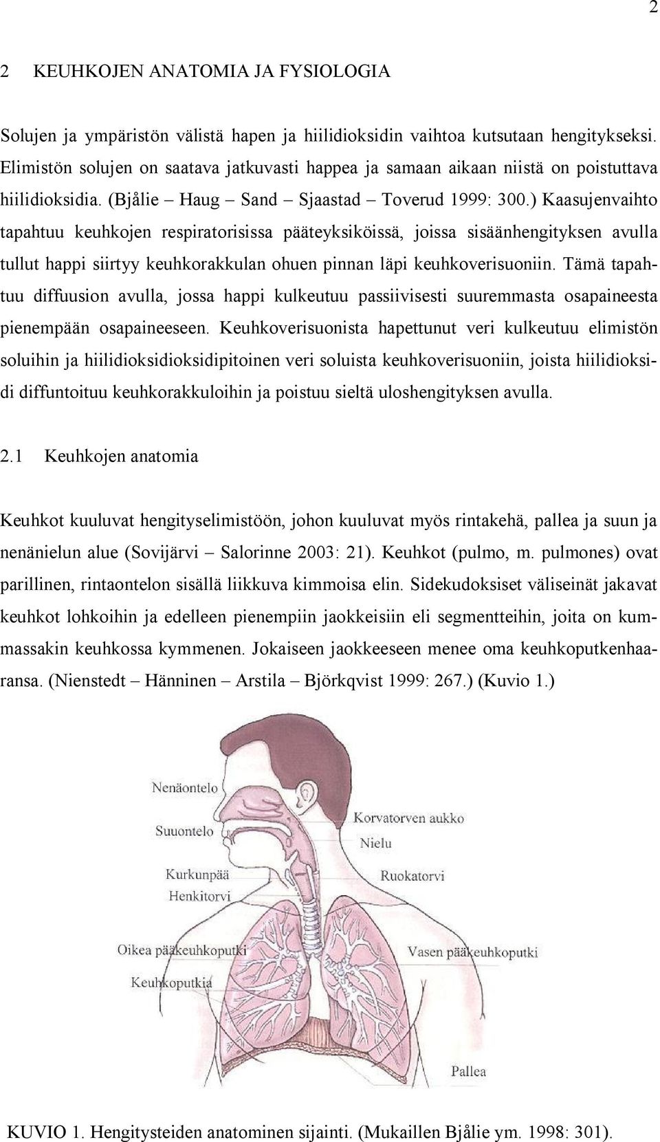 ) Kaasujenvaihto tapahtuu keuhkojen respiratorisissa pääteyksiköissä, joissa sisäänhengityksen avulla tullut happi siirtyy keuhkorakkulan ohuen pinnan läpi keuhkoverisuoniin.