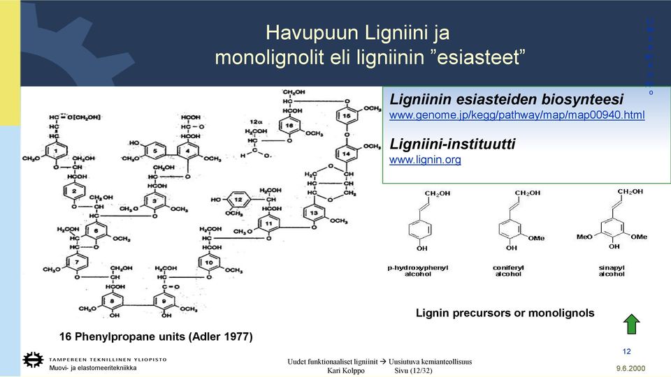 html Ligniini-instituutti www.lignin.