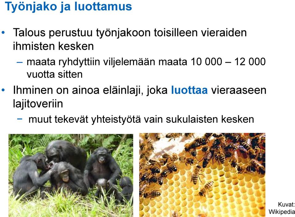 vuotta sitten Ihminen on ainoa eläinlaji, joka luottaa vieraaseen