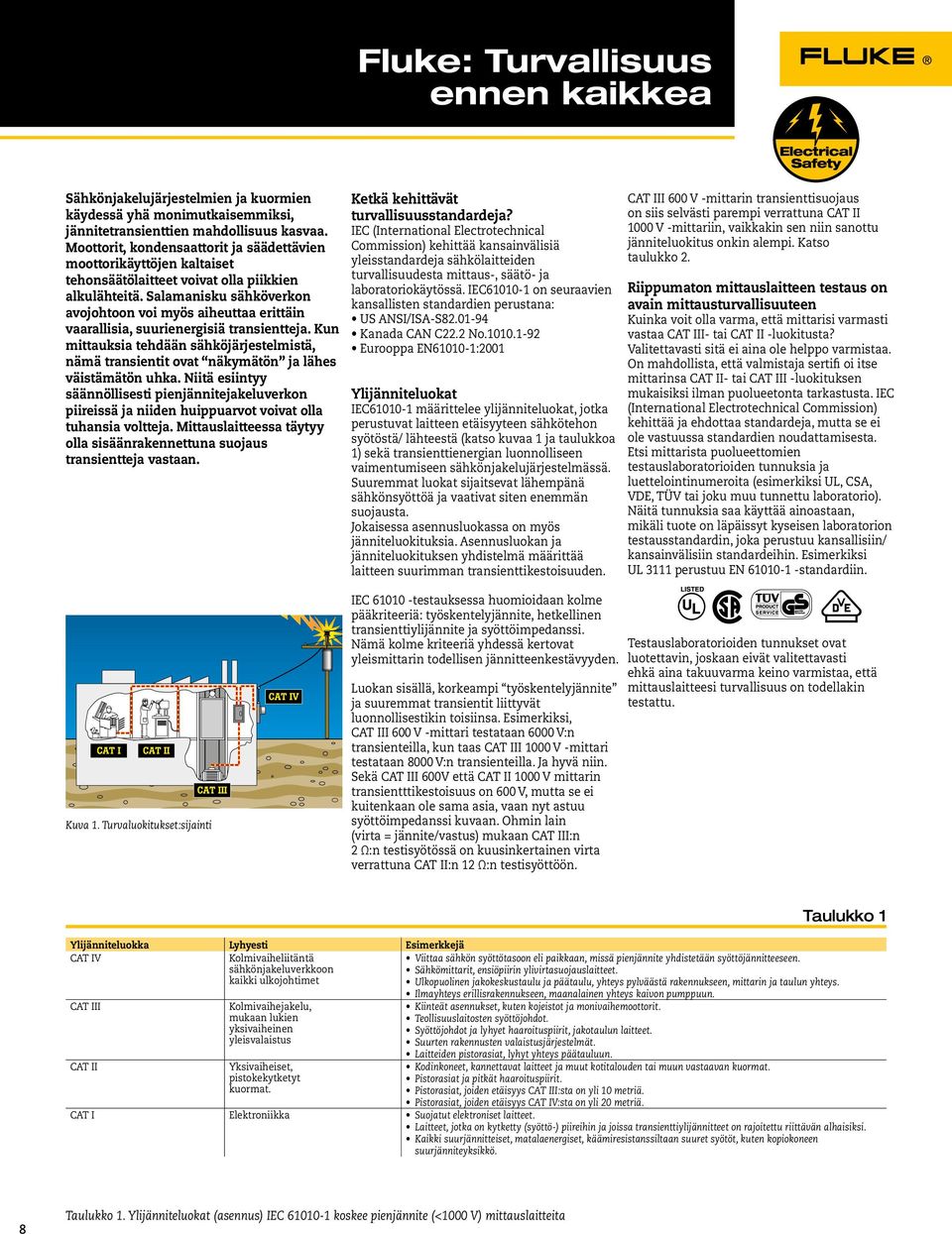 Salamanisku sähköverkon avojohtoon voi myös aiheuttaa erittäin vaarallisia, suurienergisiä transientteja.