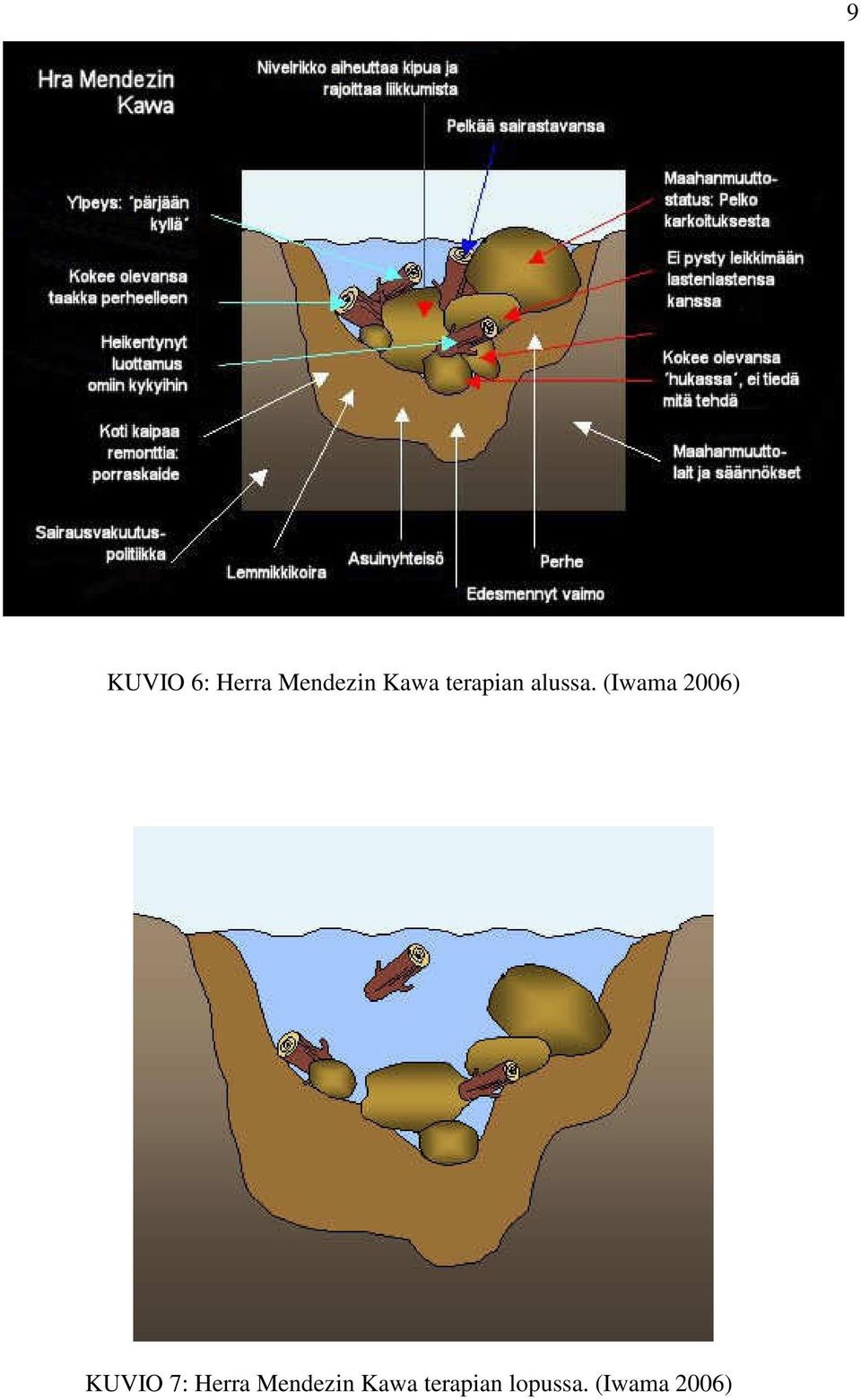 (Iwama 2006) KUVIO 7: Herra