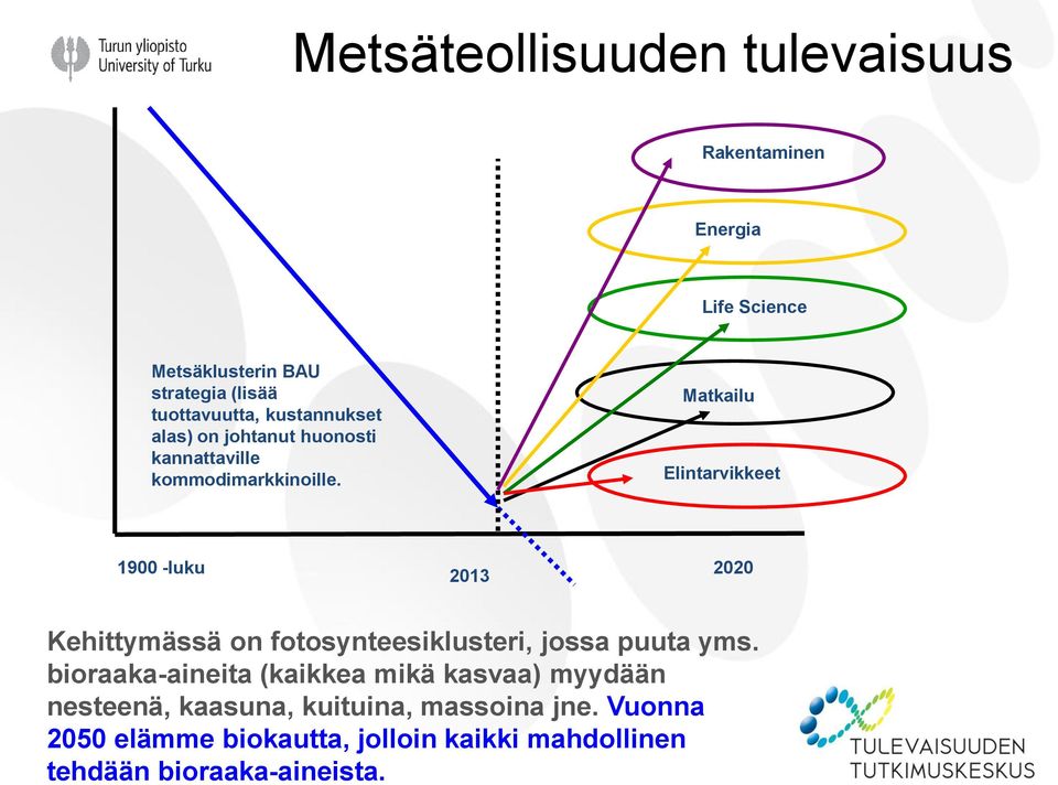 Matkailu Elintarvikkeet 1900 -luku 2013 2020 Kehittymässä on fotosynteesiklusteri, jossa puuta yms.