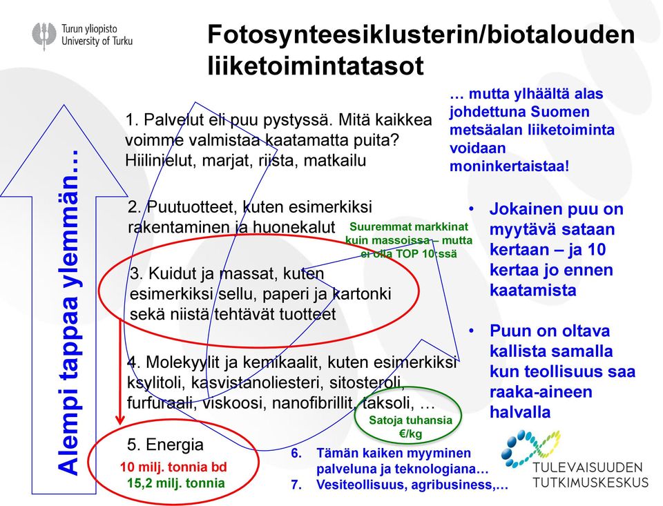 Kuidut ja massat, kuten esimerkiksi sellu, paperi ja kartonki sekä niistä tehtävät tuotteet 4.