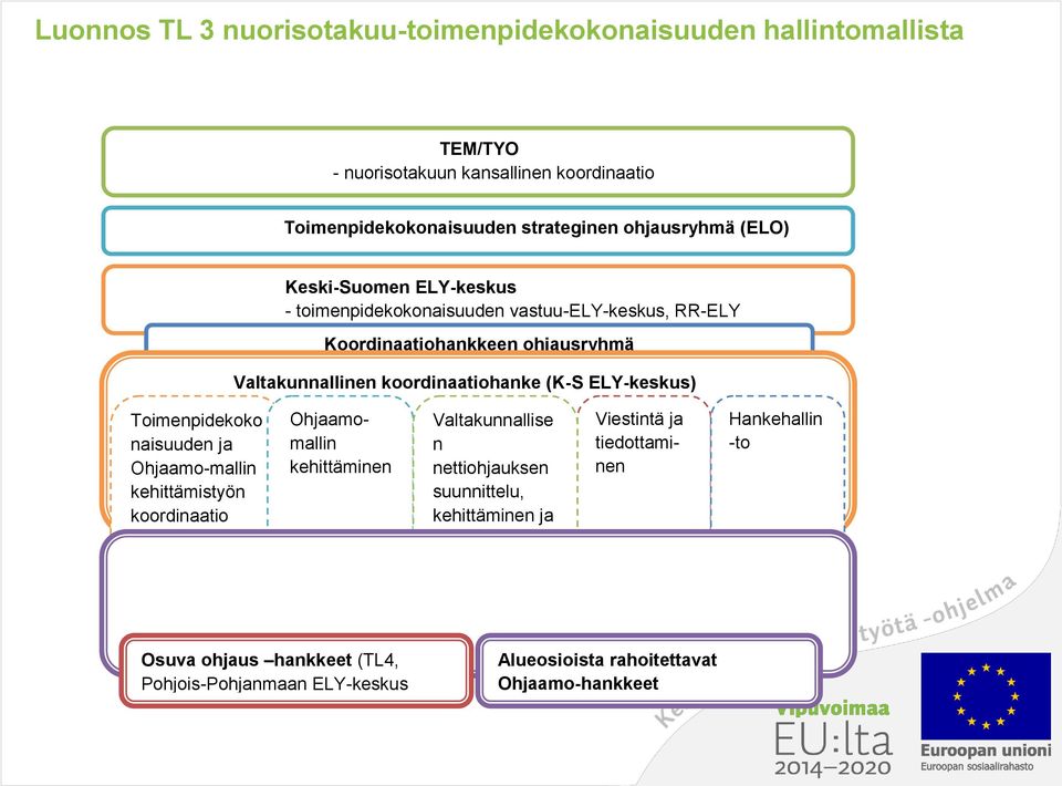 Ohjaamo-mallin kehittämistyön koordinaatio - projektipäällikkö Ohjaamomallin kehittäminen Valtakunnallise n nettiohjauksen suunnittelu, kehittäminen ja kilpailutus Viestintä ja