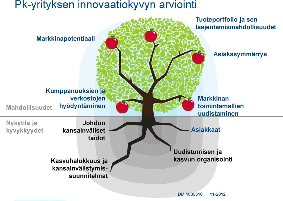 hyödyntäminen Nykytila ja kyvykkyydet Johdon kansainväliset taidot Kasvuhalukkuus ja