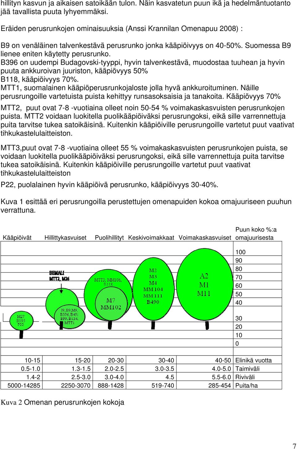 B396 on uudempi Budagovski-tyyppi, hyvin talvenkestävä, muodostaa tuuhean ja hyvin puuta ankkuroivan juuriston, kääpiövyys 50% B118, kääpiöivyys 70%.